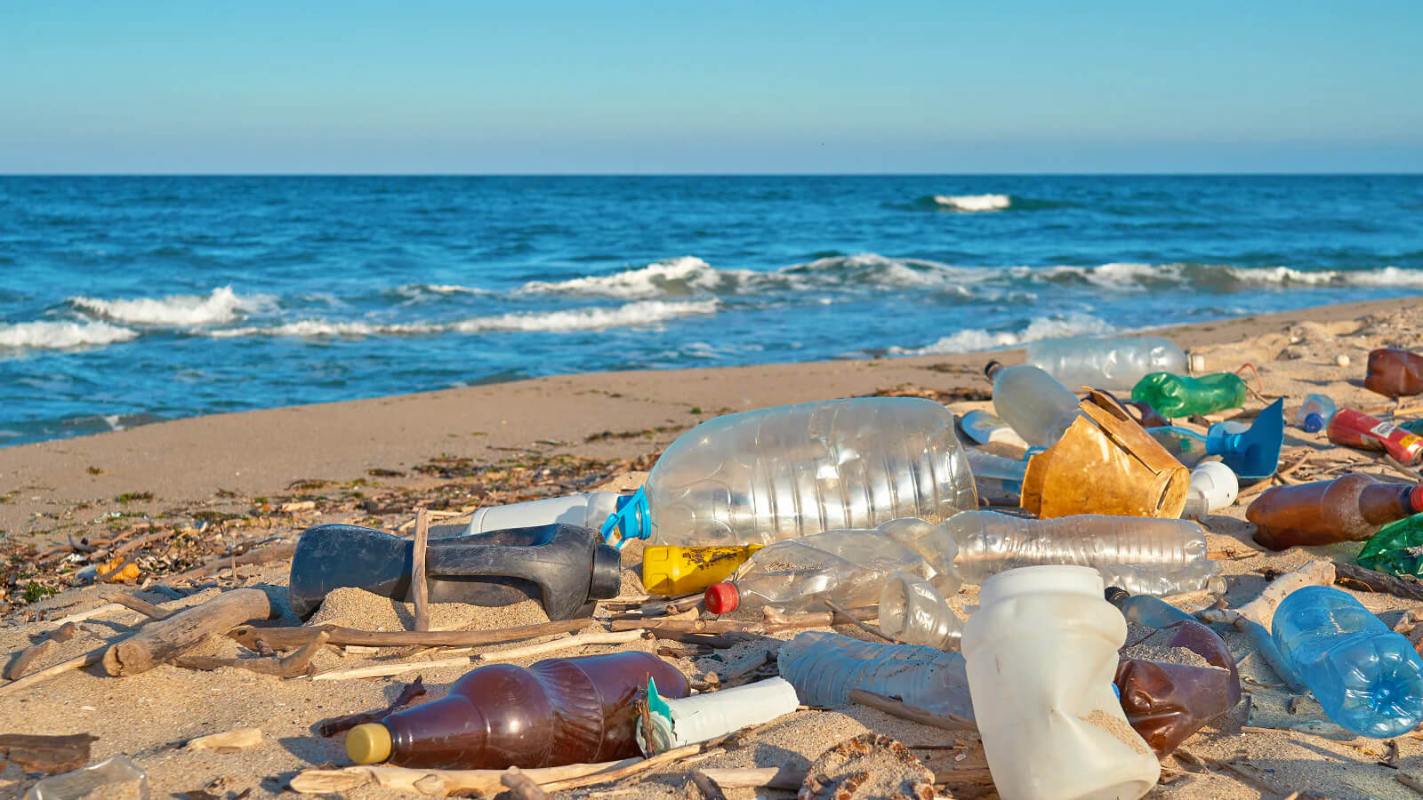 Exemple de déchets plastiques sur une plage